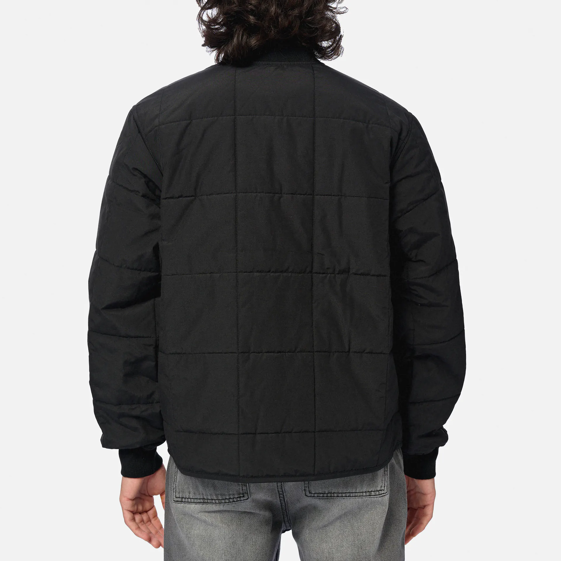 Dickies Gardiner Liner Jacket Black