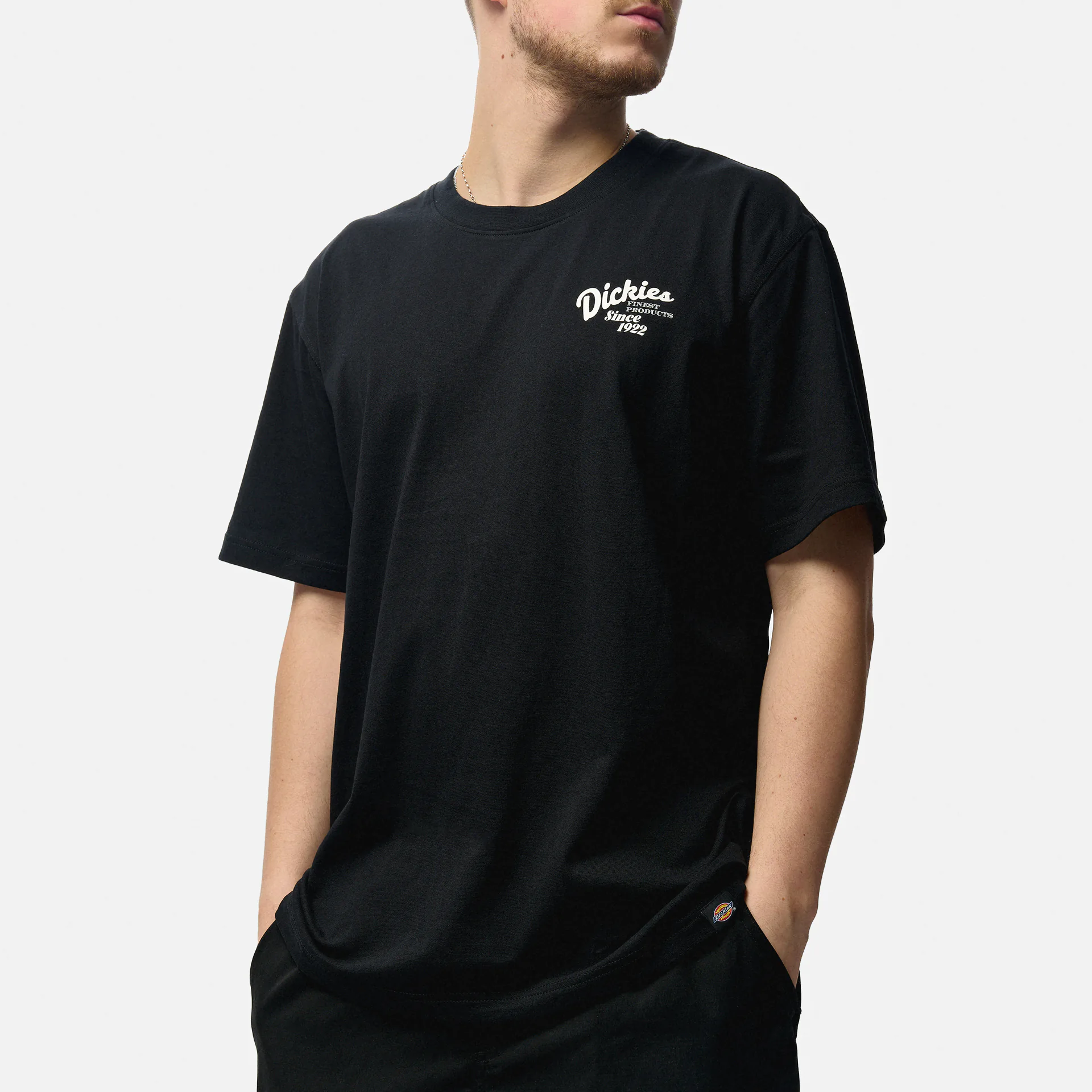 Dickies Raven T-Shirt Black