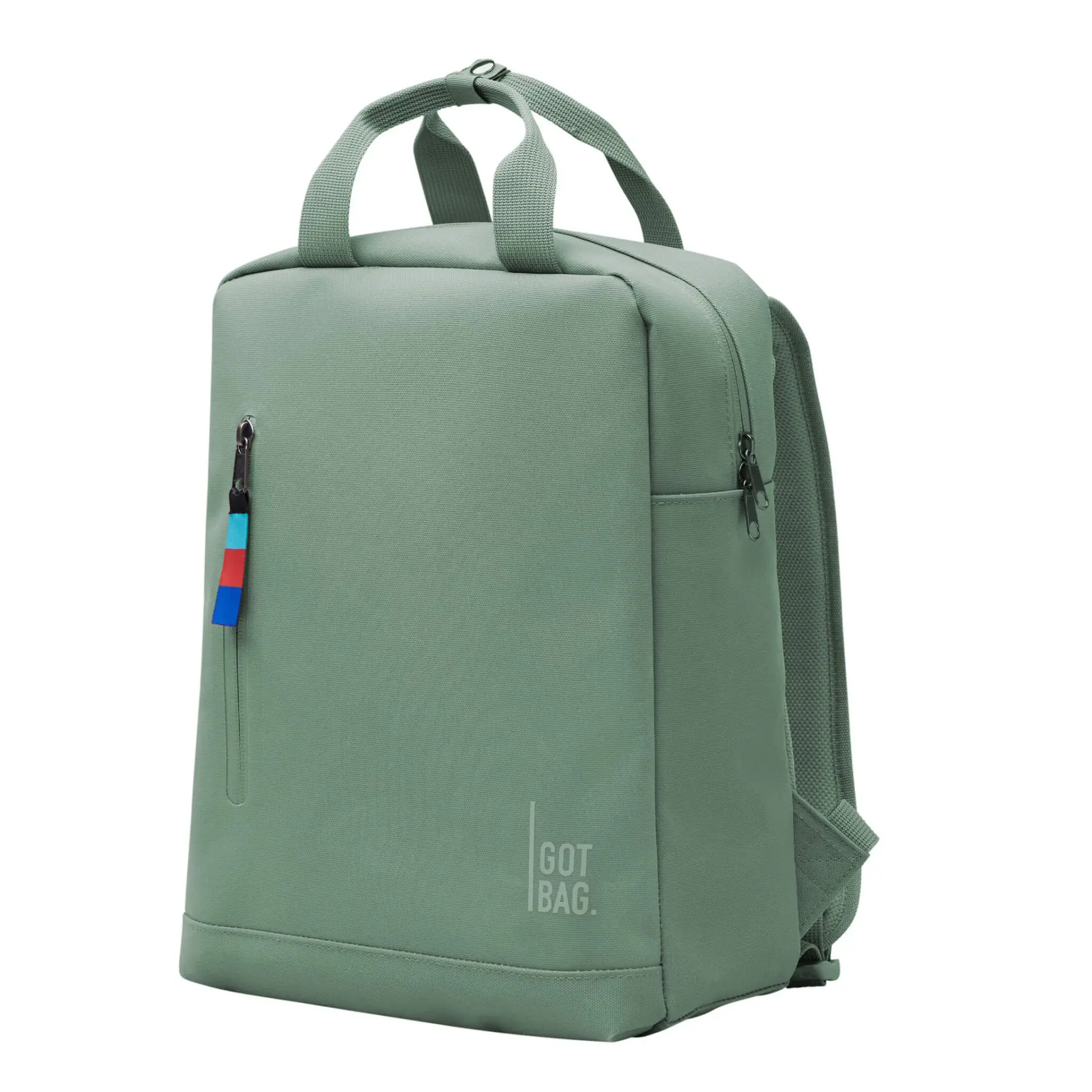 Got Bag Daypack Backpack Reef