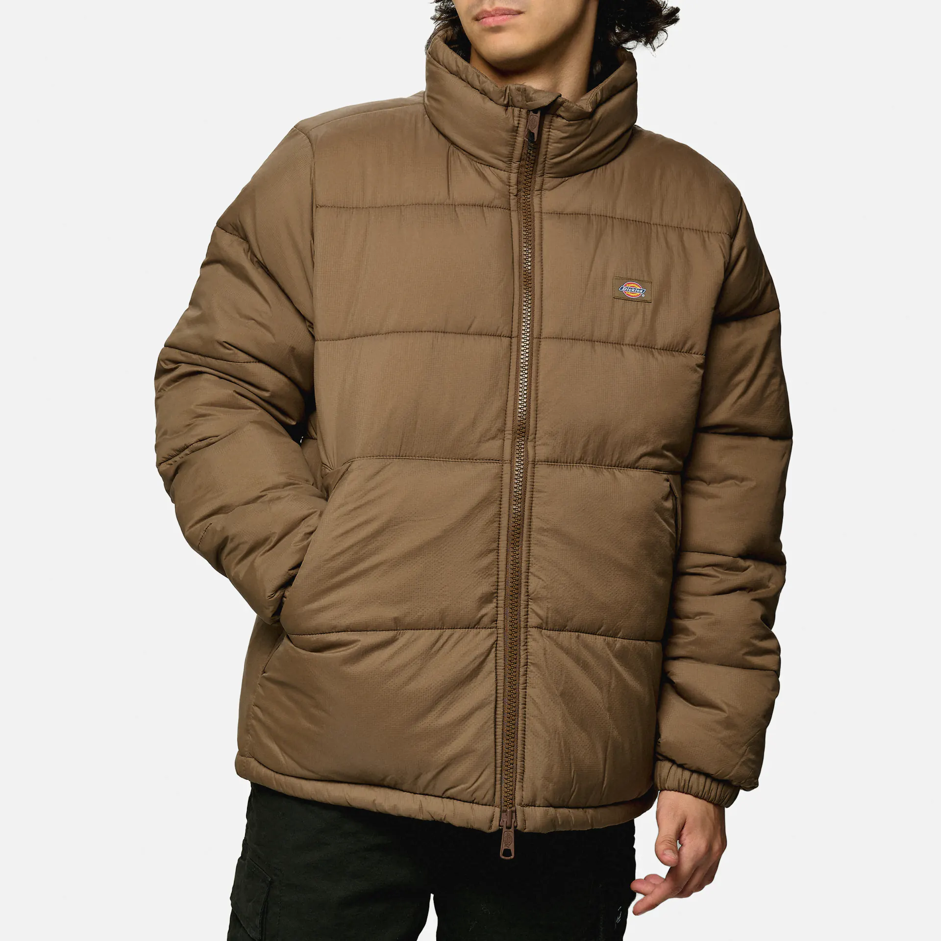 Dickies Waldenburg Jacket Mushroom