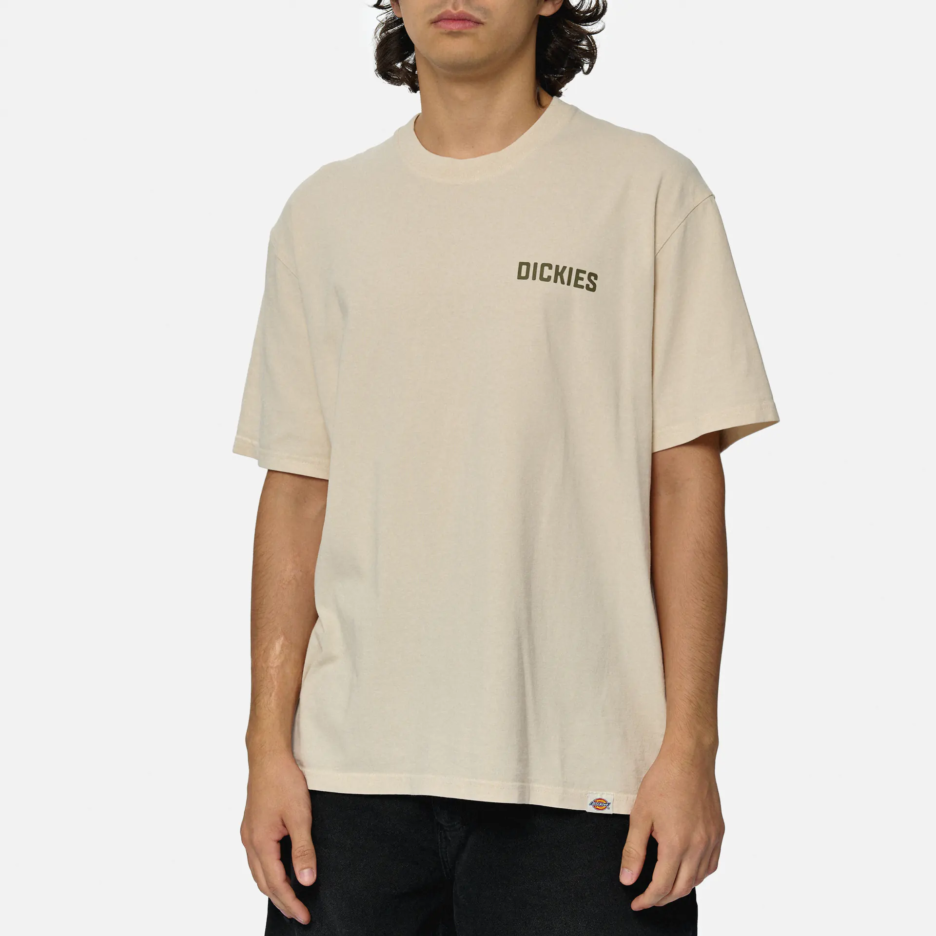 Dickies High Flying Workwear T-Shirt Cloud