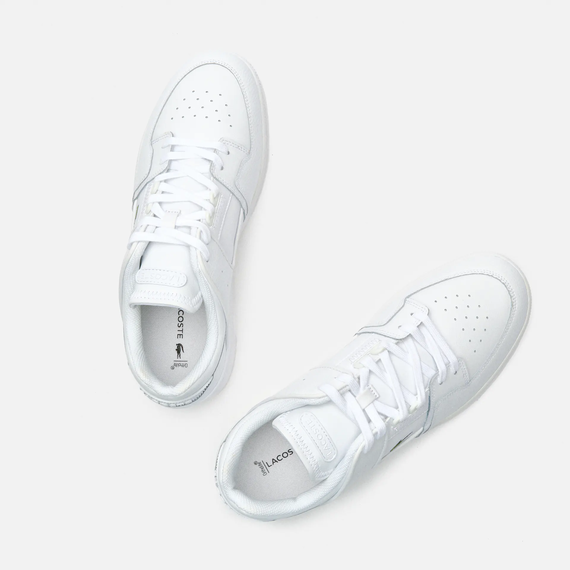 Lacoste Court Cage 224 1 SMA Sneaker White/White