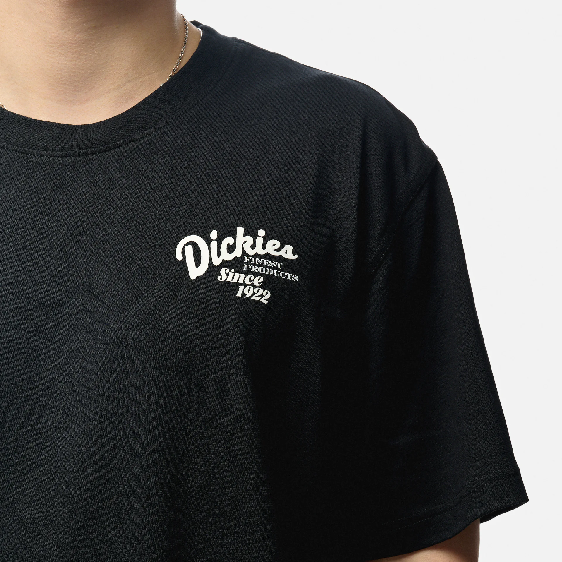 Dickies Raven T-Shirt Black