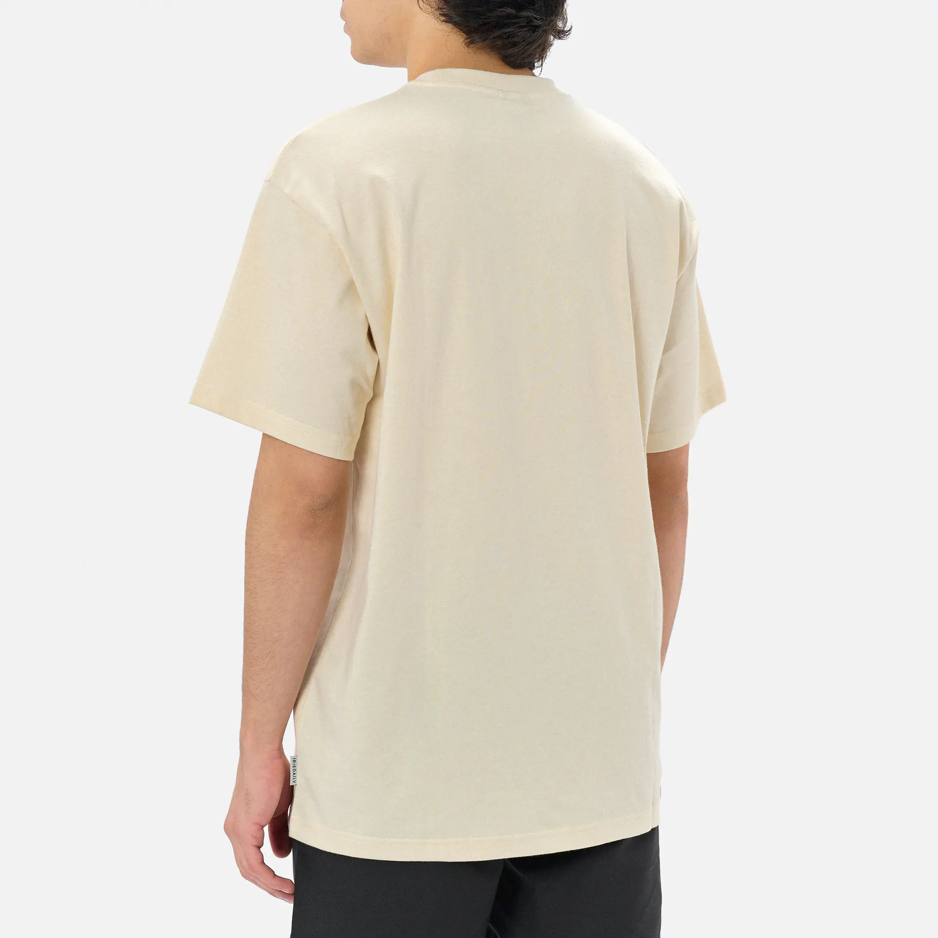 Iriedaily Zwille T-Shirt Undyed