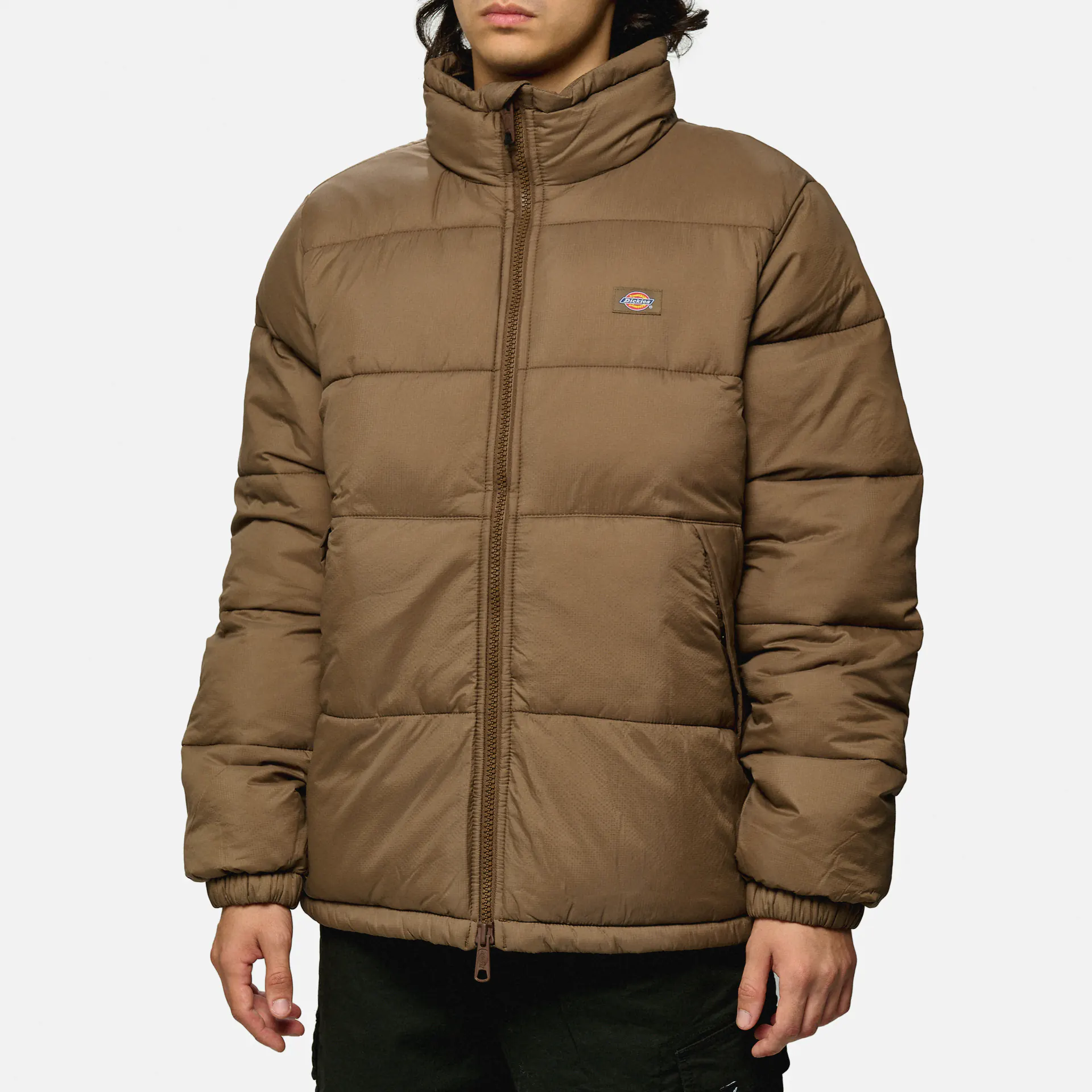 Dickies Waldenburg Jacket Mushroom